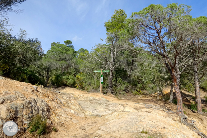 Macizo de la Ardenya desde Sant Feliu de Guíxols 1 