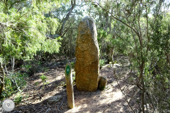 Macizo de la Ardenya desde Sant Feliu de Guíxols 1 