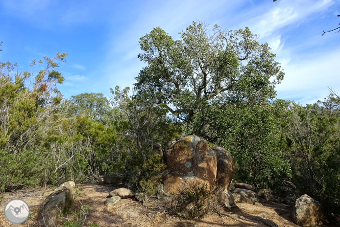 Macizo de la Ardenya desde Sant Feliu de Guíxols 1 