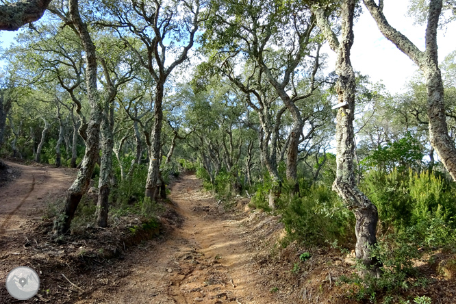 Macizo de la Ardenya desde Sant Feliu de Guíxols 1 