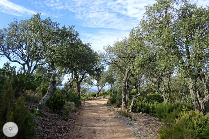 Macizo de la Ardenya desde Sant Feliu de Guíxols 1 