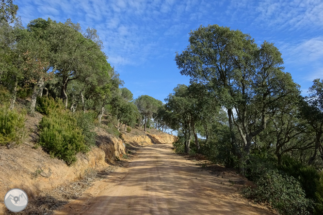 Macizo de la Ardenya desde Sant Feliu de Guíxols 1 