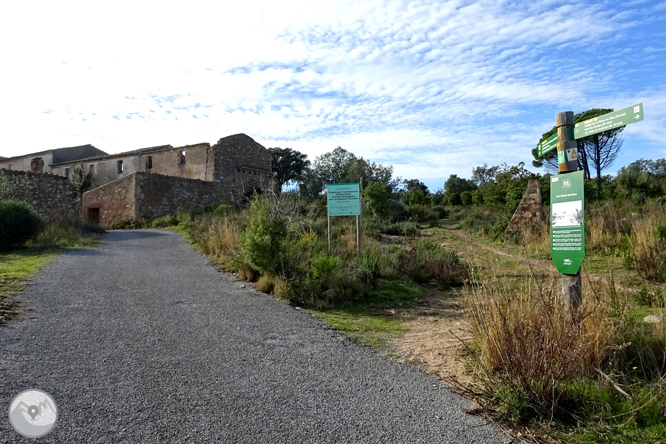 Macizo de la Ardenya desde Sant Feliu de Guíxols 1 