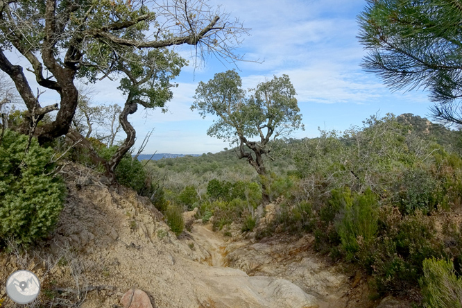 Macizo de la Ardenya desde Sant Feliu de Guíxols 1 