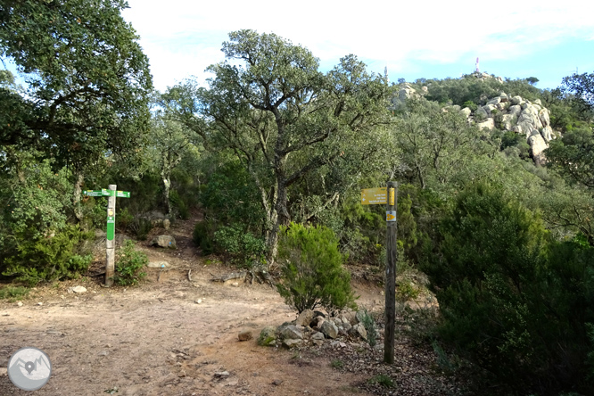 Macizo de la Ardenya desde Sant Feliu de Guíxols 1 