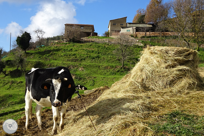 Matamala y Les Llosses por antiguos caminos de herradura 1 