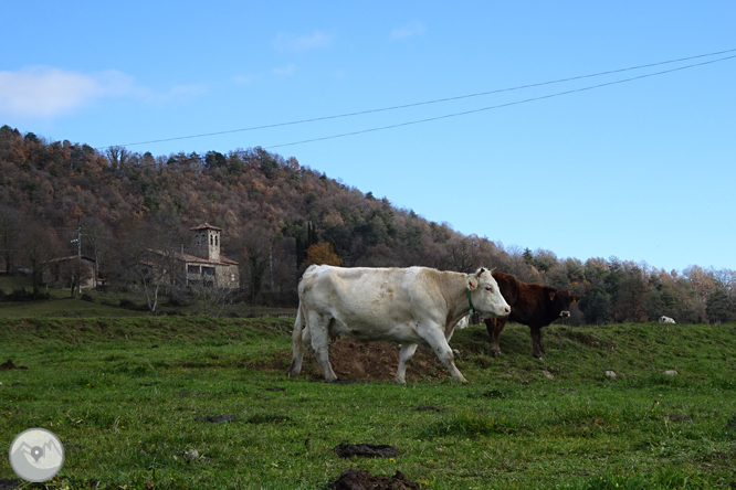 Matamala y Les Llosses por antiguos caminos de herradura 1 