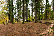 Área de picnic del Pla d´en Xurri.