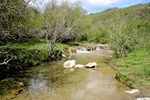 Arroyo de Sallent.