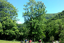 Descansando por los alrededores del arroyo de Sallent.