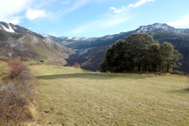 Zona de pastos junto al camino.