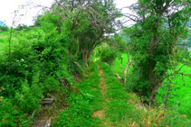 El sendero es estrecho pero evidente.