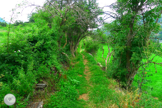 Mirador de San Mamés en Sallent de Gállego 1 