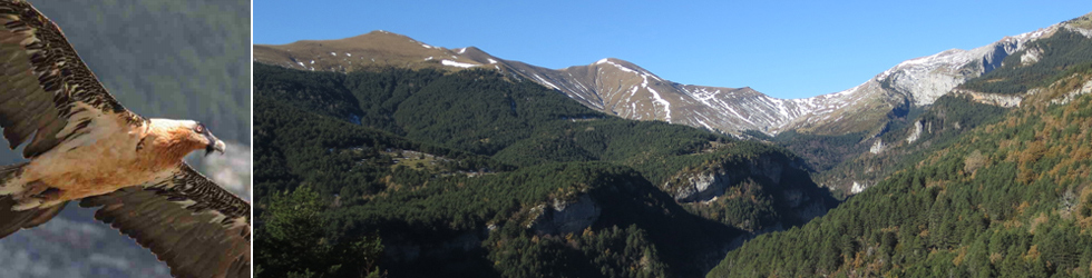 Sendero de los miradores de Revilla en las Gargantas de Escuaín