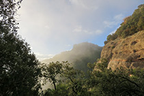 Vistas con niebla.