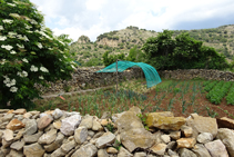 Huertos entrando en Sant Julià de Cerdanyola.