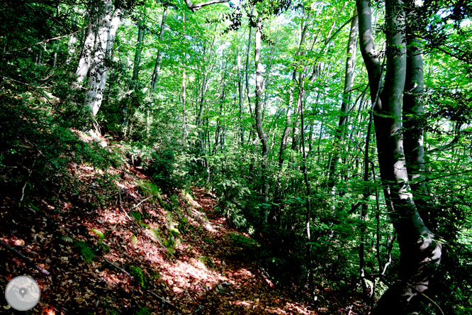 La Olla de Sant Julià de Cerdanyola 1 