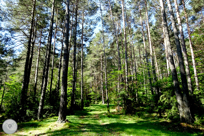 La Olla de Sant Julià de Cerdanyola 1 