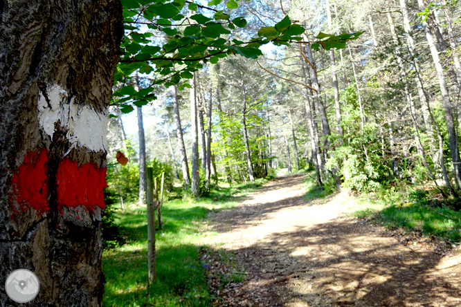 La Olla de Sant Julià de Cerdanyola 1 