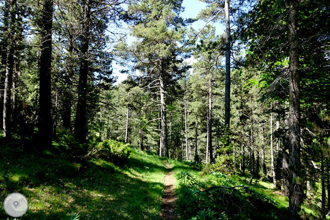 La Olla de Sant Julià de Cerdanyola 1 