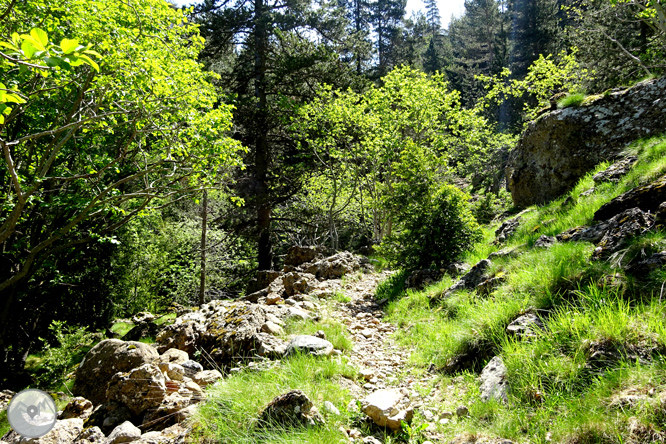 La Olla de Sant Julià de Cerdanyola 1 