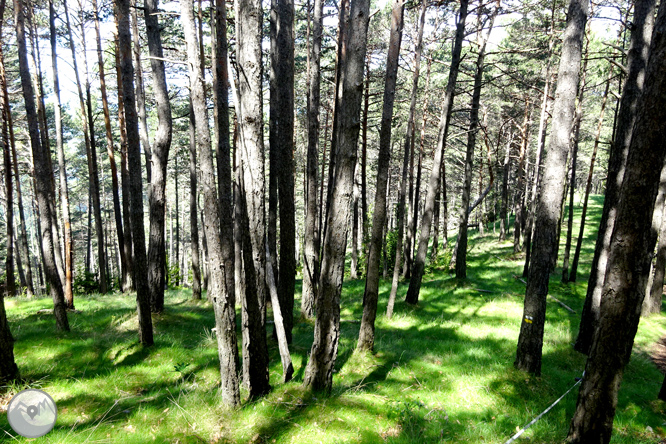 La Olla de Sant Julià de Cerdanyola 1 