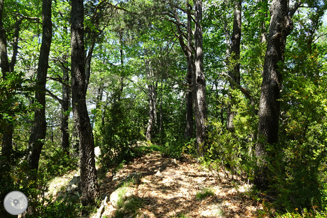 La Olla de Sant Julià de Cerdanyola 1 