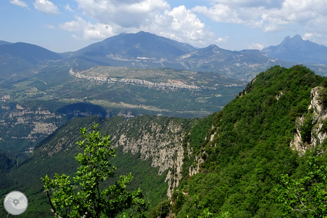 La Olla de Sant Julià de Cerdanyola 1 