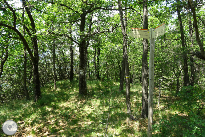 La Olla de Sant Julià de Cerdanyola 1 