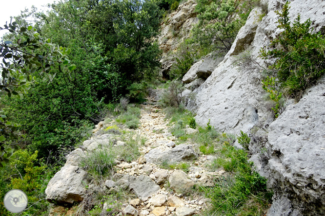 La Olla de Sant Julià de Cerdanyola 1 