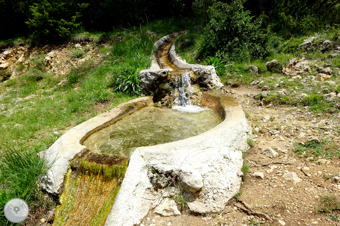 La Olla de Sant Julià de Cerdanyola 1 