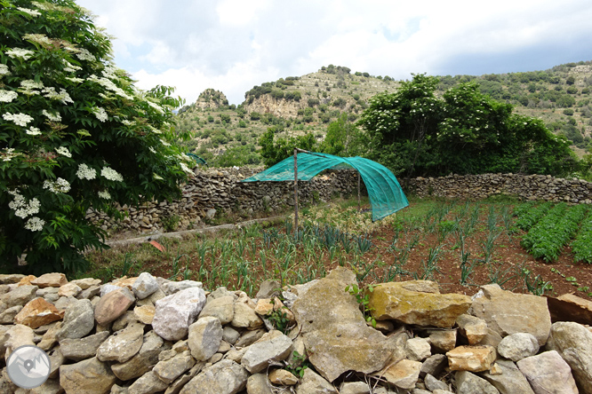 La Olla de Sant Julià de Cerdanyola 1 