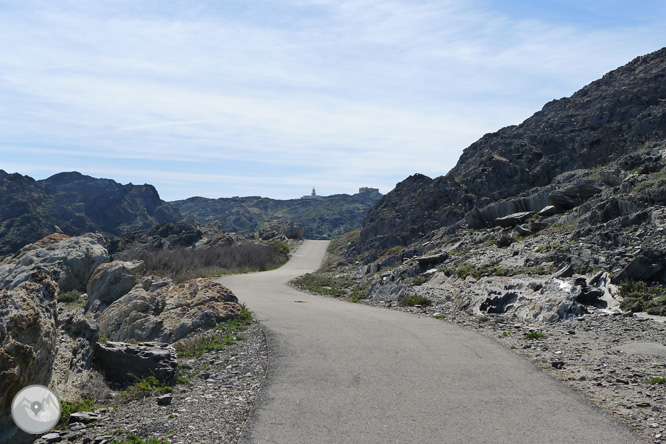 Paseo por el Paraje de Tudela 1 