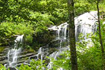 El agua, presente durante todo el recorrido.