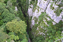 Garganta de Olhadubi vista desde el puente de Holzarté.