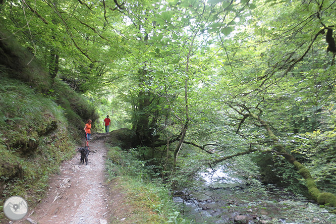 La pasarela de Holzarté y las gargantas de Olhadubi 1 