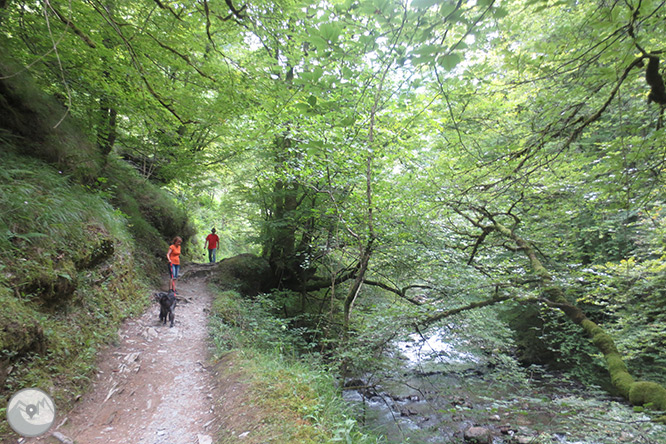 La pasarela de Holzarté y las gargantas de Olhadubi 1 