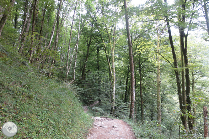 La pasarela de Holzarté y las gargantas de Olhadubi 1 