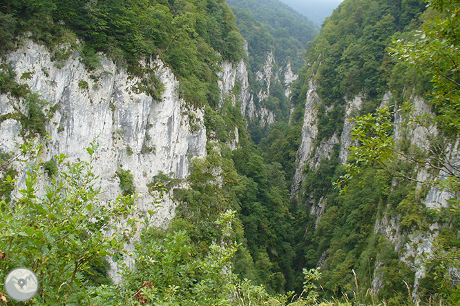 La pasarela de Holzarté y las gargantas de Olhadubi 1 