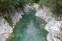 Río Ara desde el puente de Oncins (aguas arriba).