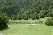 Prados en la orilla del río Ara.