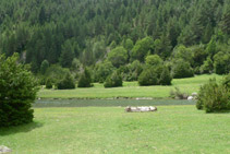 Prados en la orilla del río Ara.