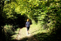 Caminando a la sombra del bosque caducifolio.