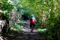 Caminando a la sombra del avellanedo.