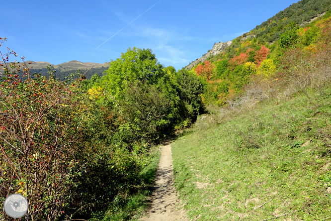 Paseo por el Mijaran desde Vielha 1 