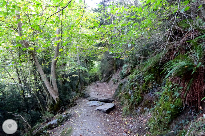 Paseo por el Mijaran desde Vielha 1 