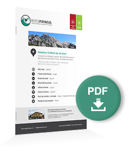 pdf-ruta