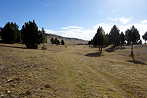 Llano del refugio.