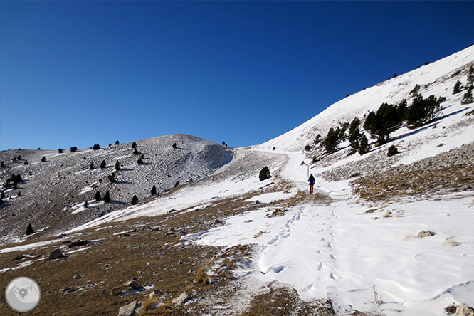 Pedró dels Quatre Batlles (2.386m) 1 