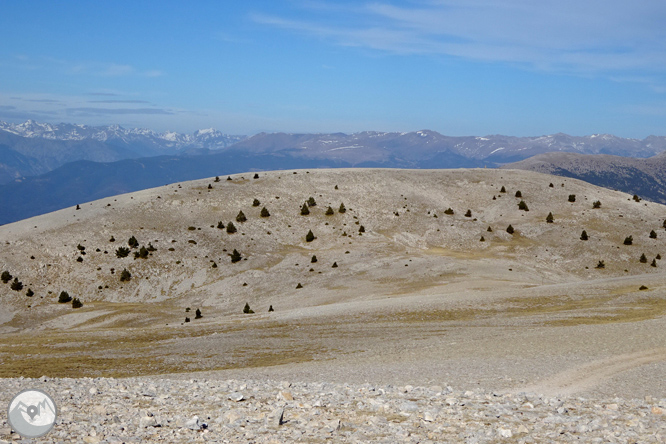 Pedró dels Quatre Batlles (2.386m) 1 